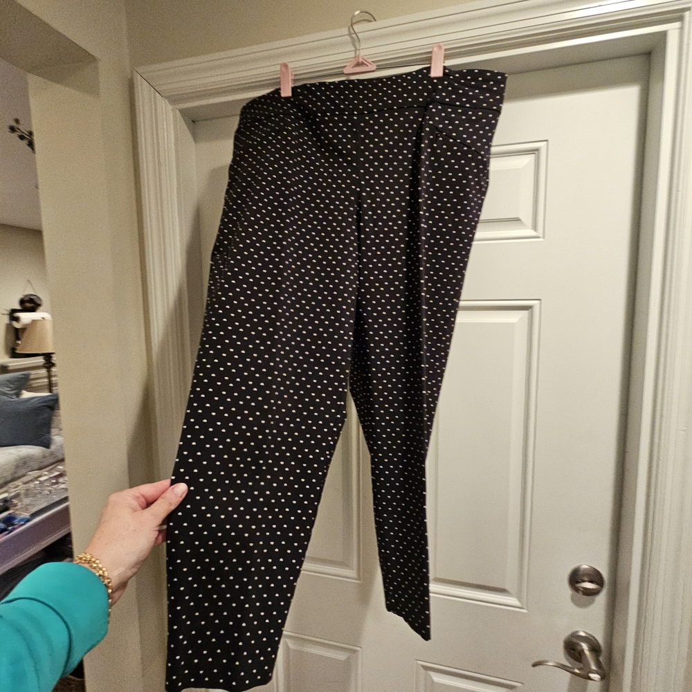 Eliane Rose Elegant Black Polka Dot Women's Straight Leg Pants 18W